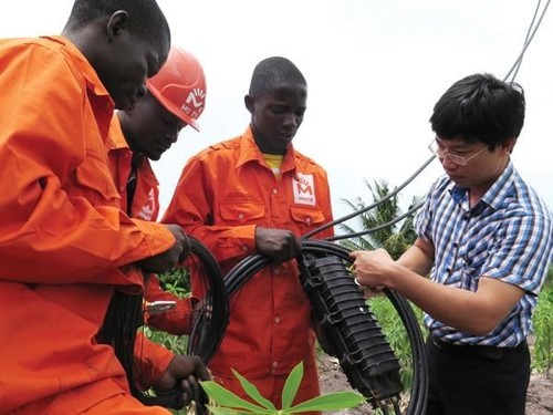 Thắt chặt thêm quan hệ Việt Nam-Mozambique - ảnh 1