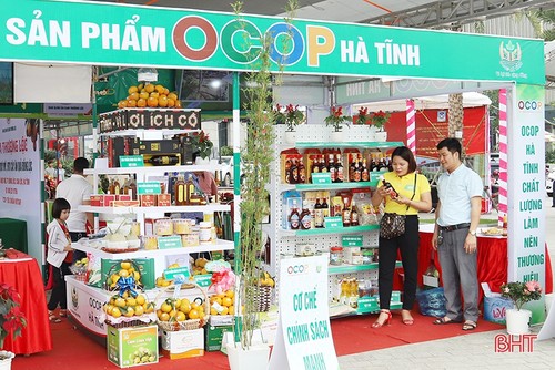 Tỉnh Hà Tĩnh - điểm sáng trong xây dựng nông thôn mới - ảnh 3