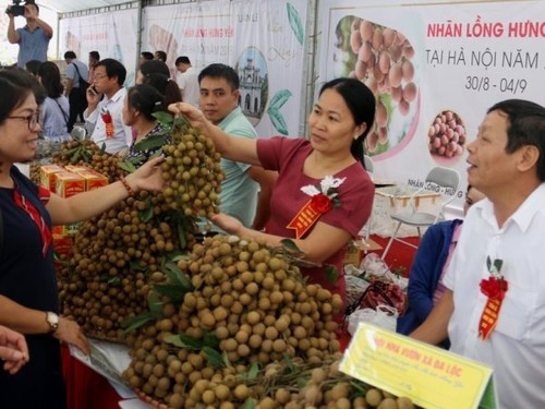 Hưng Yên đẩy mạnh công tác xúc tiến tiêu thụ nông sản - ảnh 1