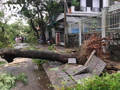 Bão Noul suy yếu thành áp thấp nhiệt đới sau khi gây thiệt hại về người khi đổ bộ vào Việt Nam - ảnh 1