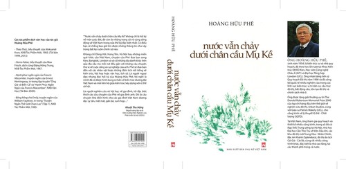 “Nước vẫn chảy dưới chân cầu mụ Kề“: những trang sử sống động ngoài chính sử - ảnh 2