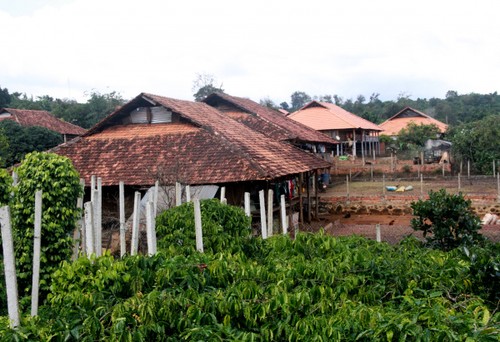 Làng văn hóa Nùng An trên đất Tây Nguyên - ảnh 1