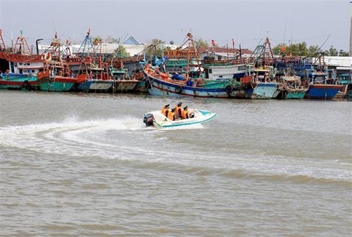 Thủ tướng chỉ đạo tập trung thực hiện các giải pháp cấp bách chống khai thác hải sản bất hợp pháp - ảnh 1