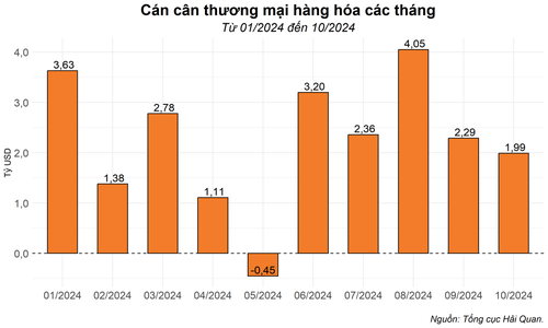 10 tháng, Việt Nam xuất siêu 23,31 tỷ USD - ảnh 1