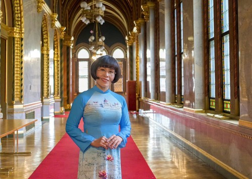 Tản văn, thơ về phụ nữ Việt xa xứ: con chữ tâm tình về những hành trình đầy nghị lực - ảnh 1