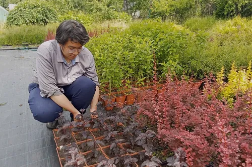 Khát vọng về một nền nông nghiệp sạch, bền vững của chàng trai du học sinh tại Nga - ảnh 1