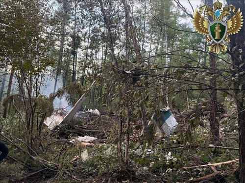 Chủ tịch nước Lương Cường điện thăm hỏi vụ máy bay Nga gặp tai nạn - ảnh 1