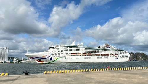 Xây dựng Hải quân hiện đại, bảo vệ vững chắc chủ quyền biển, đảo - ảnh 3