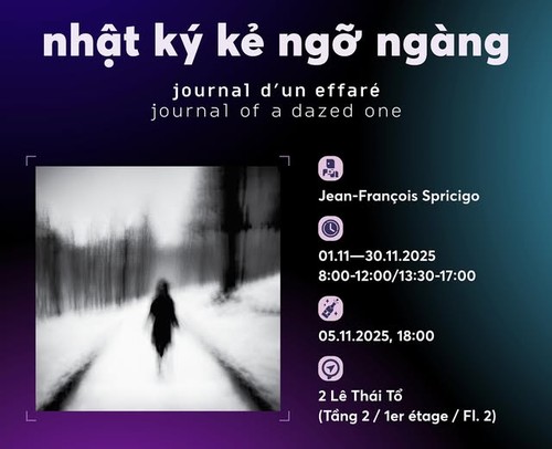 Nghệ sĩ nhiếp ảnh nổi tiếng người Bỉ triển lãm tại Hà Nội với “Nhật ký kẻ ngỡ ngàng“ - ảnh 1