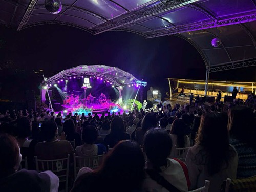 Loạt bài Phát triển thị trường nghệ thuật Việt Nam - Kỳ cuối: Chính sách phát triển từ ý kiến các chuyên gia - ảnh 2