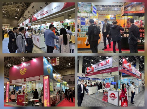 Thương mại Việt Nam - Nhật Bản lần đầu vượt mốc 50 tỷ USD - ảnh 1