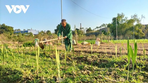 Hồi sinh mùa hoa Tết tại “thủ phủ” đào Cam Giá, Thái Nguyên - ảnh 2