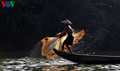 ภาพของชาวประมงเมืองเว้ที่กำลังจับปลาในแม่นํ้า Như Ý  - ảnh 3