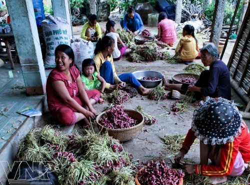 อำเภอเกาะ Lý Sơn ผืนดินแนวหน้าทางทะเลของปิตุภูมิ  - ảnh 15