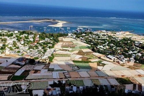 อำเภอเกาะ Lý Sơn ผืนดินแนวหน้าทางทะเลของปิตุภูมิ  - ảnh 11