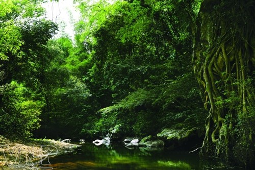 จังหวัด กว๋างบิ่ง(Quảng Bình) - จุดนัดพบของนักท่องเที่ยวในภาคกลางเวียดนาม - ảnh 10