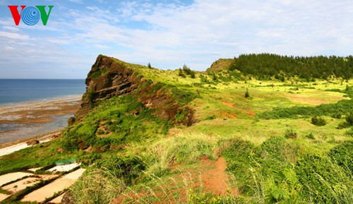 เกาะลี้เซิน - ถิ่นกำเนิดของกองเรือ หว่างซา หรือ พาราเซล - ảnh 2