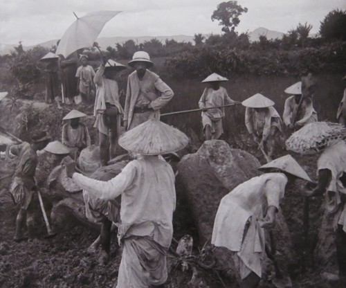 งานนิทรรศการภาพถ่ายเกี่ยวกับมุมมองของเวียดนามในต้นศตวรรษที่ 20 - ảnh 1