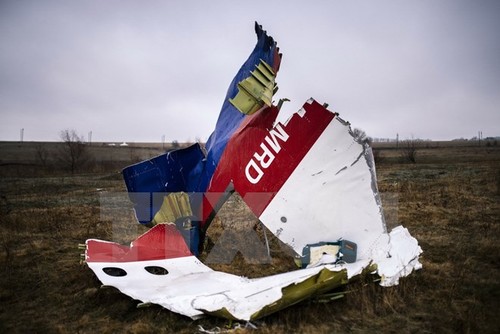 ยังไม่สามารถยืนยันฝ่ายใดยิงเครื่องบิน MH17 ตก - ảnh 1