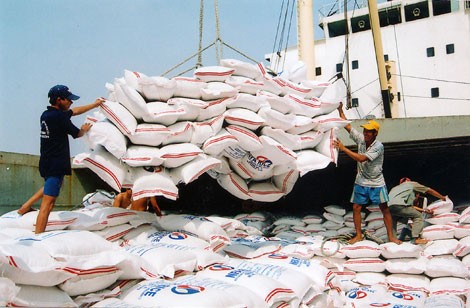 เวียดนามและไทยมีปริมาณการผลิตข้าวร้อยละ 50 ของโลก - ảnh 1