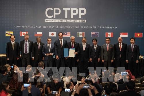 CPTPP สร้างความได้เปรียบในการแข่งขันในภูมิภาคให้แก่มาเลเซีย - ảnh 1