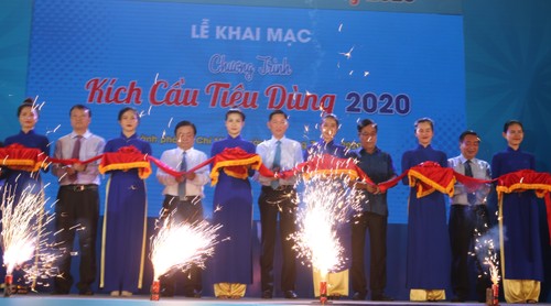 เปิดโครงการ “กระตุ้นการอุปโภคบริโภคปี2020” - ảnh 1