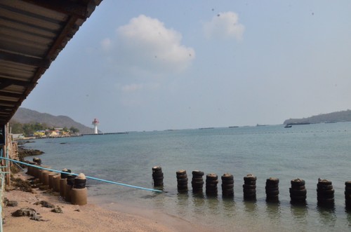 เกาะสีชัง ขยายพันธุ์ปูม้า พัฒนาการประกอบอาชีพประมง - ảnh 11