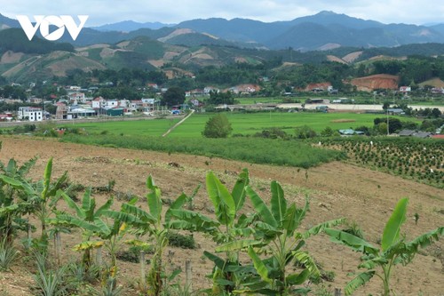 การลงทุนให้แก่การศึกษาในเขตชายแดนคือนโยบายเชิงยุทธศาสตร์ - ảnh 3