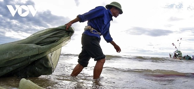 A glimpse of vibrant fishing life in Central Vietnam
