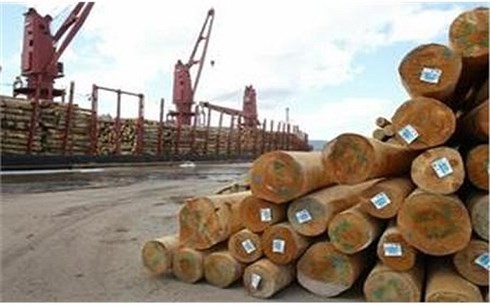 Vietnam targets 9 billion USD from wood exports in 2018 - ảnh 1