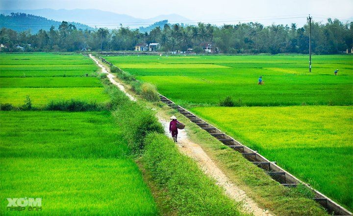 Pueblo Kinh, la etnia mayoritaria de Vietnam - ảnh 1