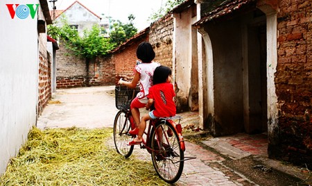 Buenas cosechas en la aldea de Duong Lam - ảnh 16