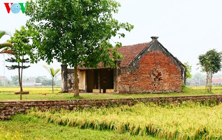 Buenas cosechas en la aldea de Duong Lam - ảnh 2