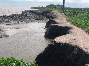 La comunidad mundial se esfuerza por la salvación de los deltas  - ảnh 1