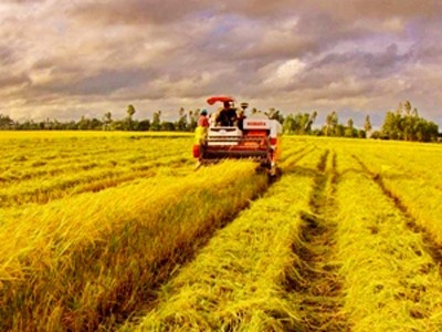 Green-Biz 2013, una solución comercial para un desarrollo verde y sostenible  - ảnh 1