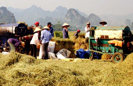 Vietnam considera modelos pilotos para desarrollar la economía cooperativa - ảnh 1