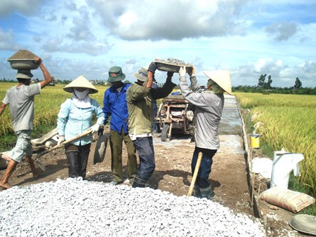 Vietnam eleva calidad de planificación campestre   - ảnh 1