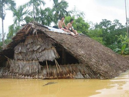 Vietnam analiza implementación de medidas en materia de tierras y medio ambiente - ảnh 1