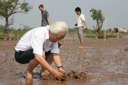 Cooperación Vietnam – UICN para enfrentar el cambio climático - ảnh 1