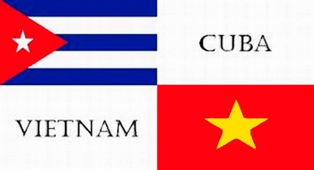 Delegación ideológica del Partido Comunista de Cuba visita Ciudad Ho Chi Minh - ảnh 1