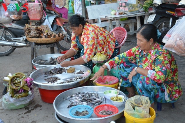 El Delta del río Mekong en la temporada de crecidas - ảnh 2