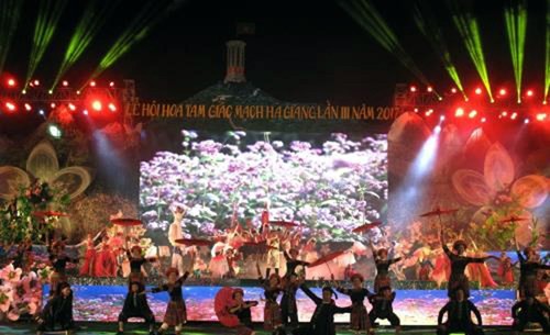 Inauguran el Festival de Flores de Alforfón 2017 en Dong Van - ảnh 1