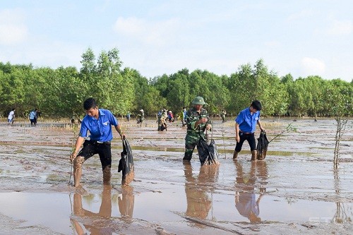 Jóvenes vietnamitas abanderan la preservación ambiental frente al cambio climático - ảnh 2