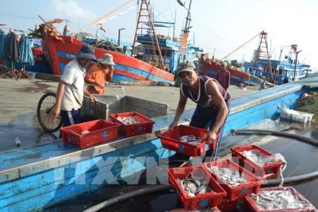 Vietnam refuerza el control de producción acuática de conformidad con las propuestas internacionales - ảnh 1