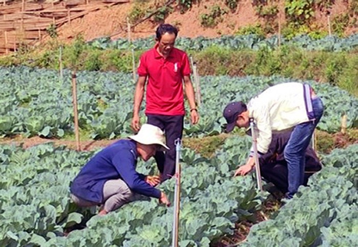 Aspiración emprendedora de los jóvenes étnicos iluminan las aldeas de Vietnam - ảnh 2