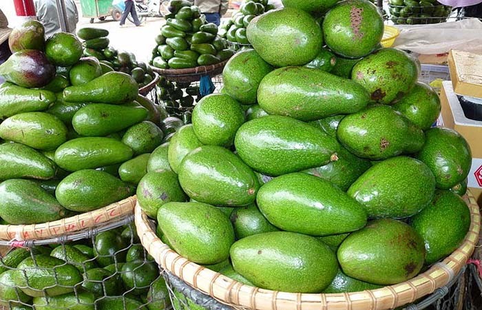 Provincia de Dak Nong promueve su marca de aguacate en el mercado nacional - ảnh 1