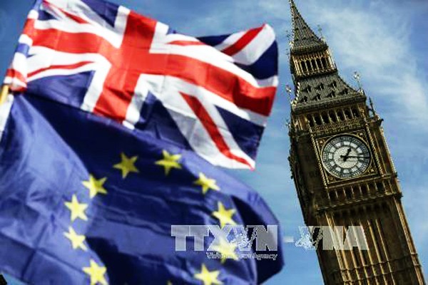 Nuevo avance en el proceso del Brexit - ảnh 1