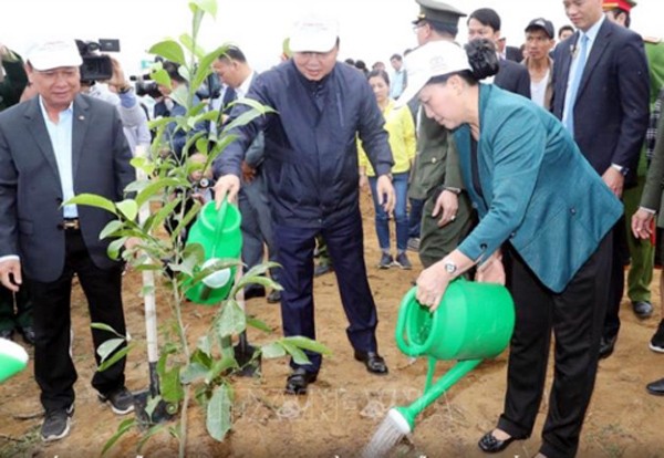 Comienza Festival de siembra de árboles en honor del tío Ho - ảnh 1