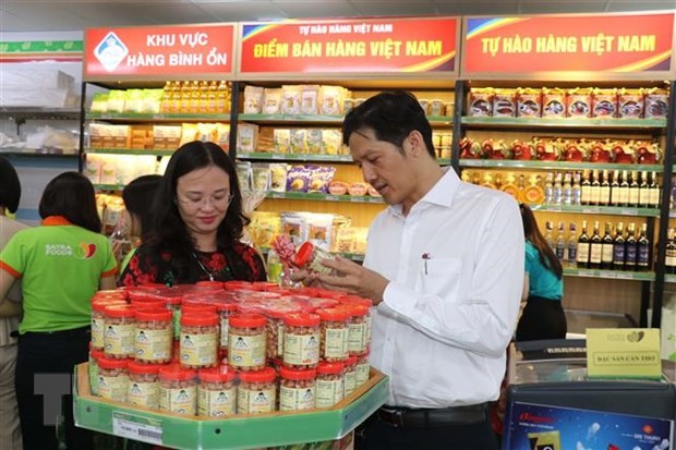 Vietnam coloca más de 500 millones de dólares de capital en ultramar en 2019 - ảnh 1