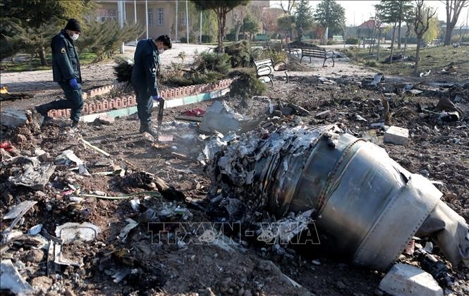 Irán enviará a Ucrania caja negra del avión accidentado en territorio nacional - ảnh 1